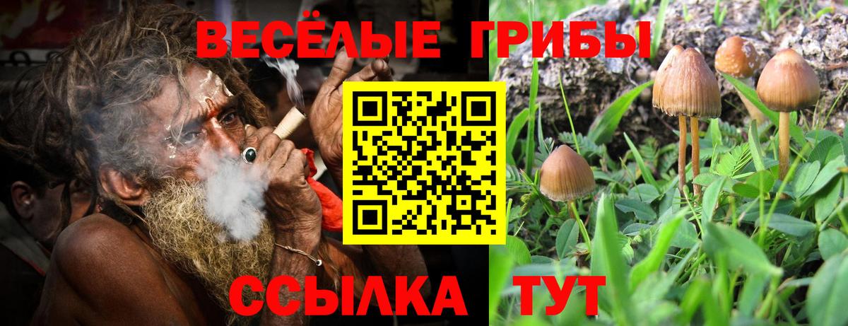 Галлюциногенные грибы GOLDEN TEACHER Тобольск