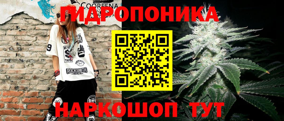 Канабис конопля Тобольск